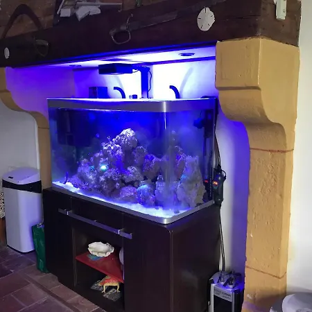 Corail Cuisine Et Sdb Partagees Homestay *
