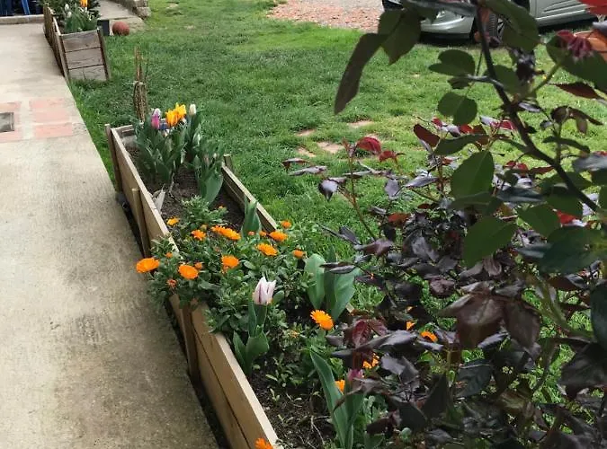 Corail Cuisine Et Sdb Partagees Проживание в семье *